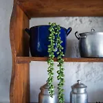 Casa De Cabanelas Bustelo (Penafiel)