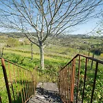 Casa De Cabanelas Kır Evi Bustelo (Penafiel)
