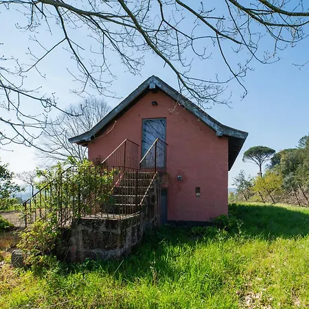 Casa De Cabanelas 컨트리하우스 Bustelo (Penafiel)