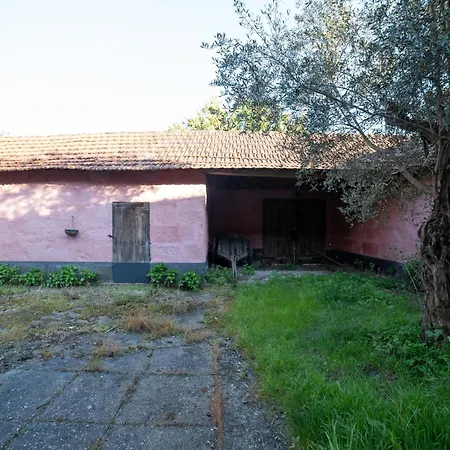 Casa De Cabanelas Bustelo (Penafiel)