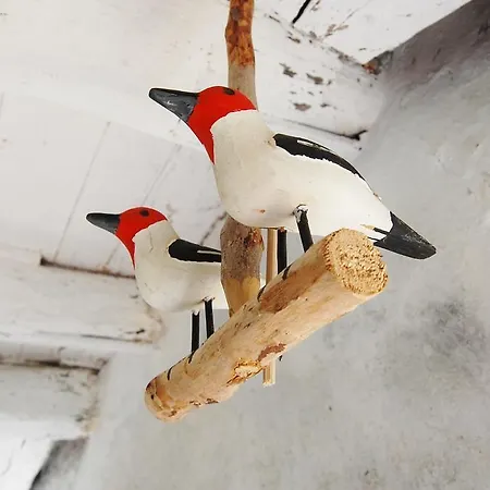 Casa De Cabanelas Venkovský dům Bustelo (Penafiel)