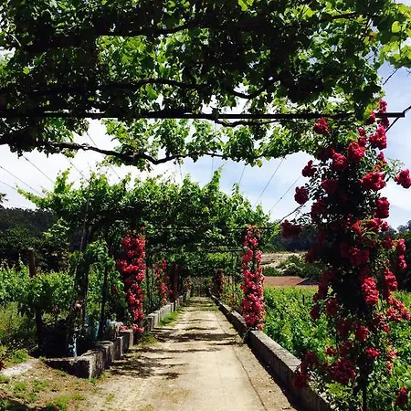 Venkovský dům Casa De Cabanelas Bustelo (Penafiel)