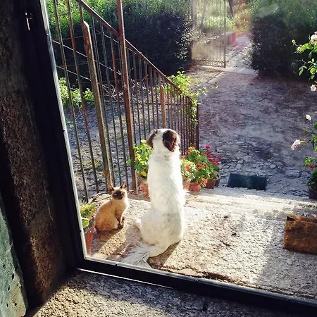 Casa De Cabanelas Venkovský dům Bustelo (Penafiel)