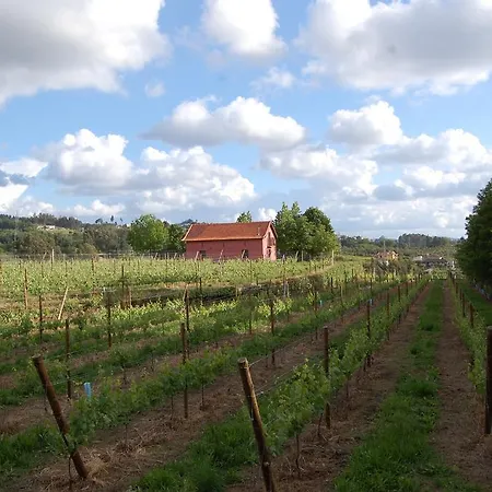 Venkovský dům Casa De Cabanelas Bustelo (Penafiel)