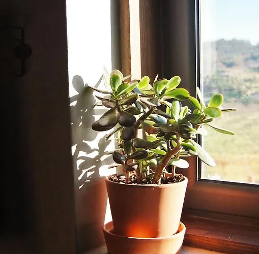 Casa rural Casa De Cabanelas