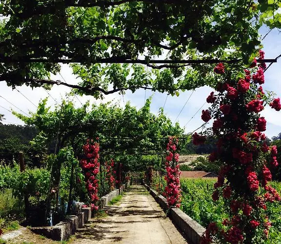 Casa rural Casa De Cabanelas Bustelo (Penafiel)