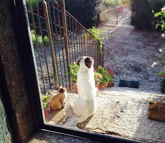 Casa De Cabanelas Casa rural Bustelo (Penafiel)