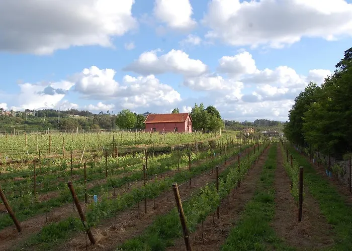 Casa rural Casa De Cabanelas Bustelo (Penafiel)